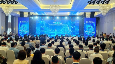 Construindo Quang Ninh para o desenvolvimento sustentável na era digital