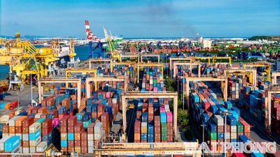 Gambar logistik global merekodkan Vietnam sebagai 'titik terang'