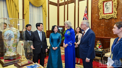 [Photo] President Luong Cuong hosts state reception for Governor-General of Australia