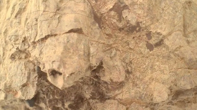 NASA phát hiện 'rùa' trên sao Hỏa