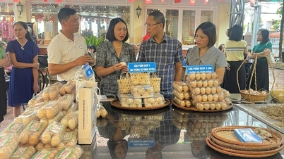ការភ្ជាប់ការទទួលទានស៊ុតមាន់នៅក្នុងទីក្រុង Hai Phong