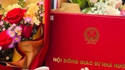 Satu wilayah mengatasi Hanoi dalam bilangan calon profesor dan profesor madya pada 2025