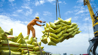 Xuất khẩu gạo Việt Nam trước động thái từ Philippines: Ổn định và chủ động ứng phó