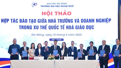 Trường Đại học Ngoại ngữ Đà Nẵng ký kết hợp tác với 11 đối tác trong nước và quốc tế