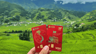 Особлива привабливість картки NCB Visa Pride