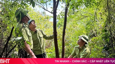 ពេល​ដើម​អាកាស្យា​បិទបាំង «​ព្រៃ​មាស​»!