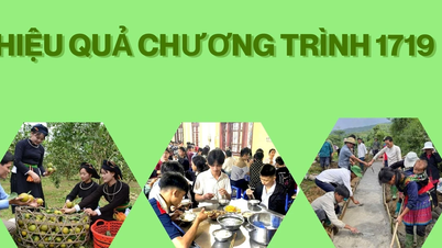 កម្មវិធី ១៧១៩ ប្រសិទ្ធភាព