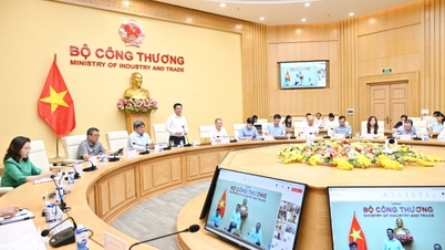 ធ្វើពិពិធកម្មទីផ្សារយ៉ាងសកម្ម បង្កើនតម្លៃអង្ករវៀតណាម