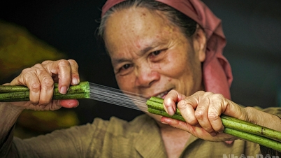 លះបង់​ទាំង​អស់​ស្រឡាញ់​ឈូក​សូត្រ