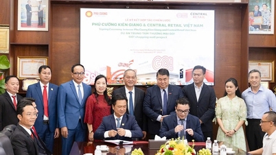 Phu Cuong 'bergandengan tangan' dengan Central Retail untuk membangun kompleks berskala besar di An Giang