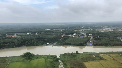 Penutupan tambang pasir Long Hoa II di komune Can Gio