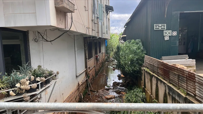 Streams in Da Lat are being "choked"