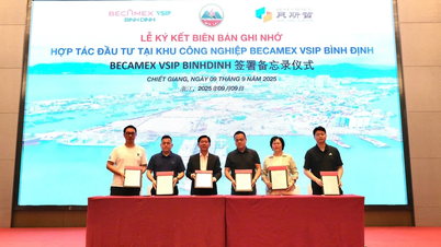 Công ty CP Becamex Bình Định xúc tiến đầu tư tại Trung Quốc