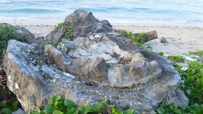 Ly Son Geopark ເຕົ້າໂຮມບັນດາມໍລະດົກອັນລ້ຳຄ່າ