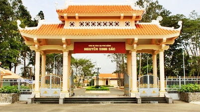 សារីរិកធាតុចំនួនបួនទៀតត្រូវបានចាត់ថ្នាក់ជាសារីរិកធាតុពិសេសជាតិ