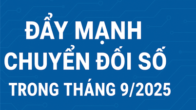 Jabatan Pertanian dan Alam Sekitar wilayah Ca Mau mempromosikan transformasi digital pada September 2025: banyak hasil positif