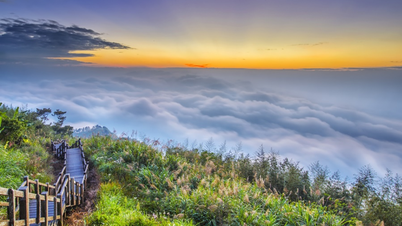 Alishan ទេសចរណ៍តៃវ៉ាន់៖ រីករាយជាមួយសម្រស់ធម្មជាតិដ៏អស្ចារ្យ និងសុបិន
