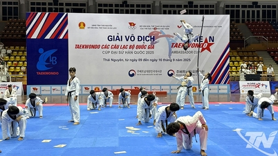 Slavnostní zahájení mistrovství republiky v taekwondu - Korean Ambassador Cup 2025