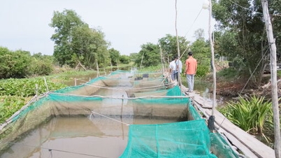 Xã Phước Chỉ khai thác thế mạnh nuôi trồng thủy sản