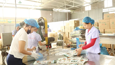 Xây dựng thương hiệu, nâng cao giá trị sản phẩm OCOP