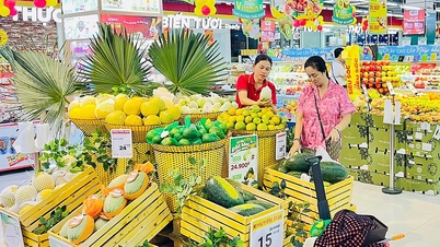 ບັກນິງ: ການບໍລິການສີຂຽວ, ຊຸກຍູ້ການເຕີບໂຕແບບຍືນຍົງ