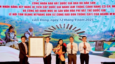 ការទទួលស្គាល់ ដាក សឺន លីថូផុន ជាសម្បត្តិជាតិ