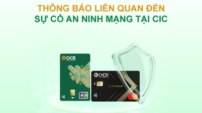 សេចក្តីជូនដំណឹង ស្តីពី ឧប្បត្តិហេតុសន្តិសុខតាមអ៊ីនធឺណិត នៅ CIC