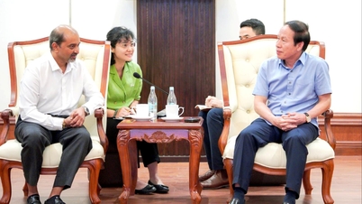 Bí thư Thành ủy Hải Phòng Lê Tiến Châu làm việc với lãnh đạo Ford Việt Nam