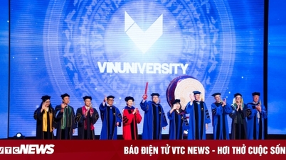 Ki a VinUni Egyetem új elnöke?