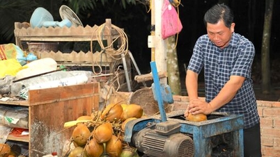Rozvoj oblastí pro pěstování organických kokosů v Tay Ninh: Otevření cesty pro export čerstvých kokosových ořechů (Poslední článek)