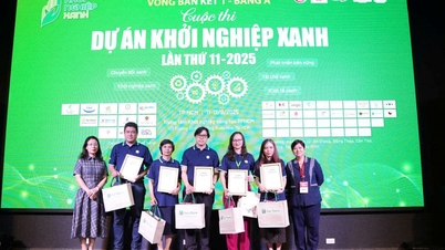 63 proyek masuk semi-final Green Startup 2025