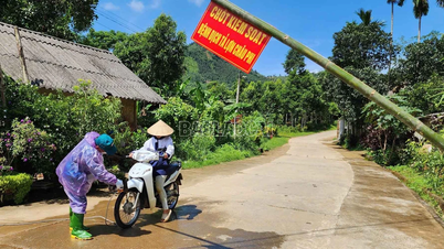 13 xã, phường khống chế được bệnh dịch tả lợn châu Phi