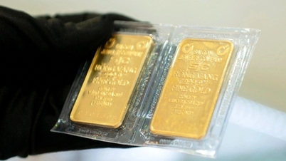 Goldgeschenkaktionen, Online-Goldtransaktionen ... sind Betrug