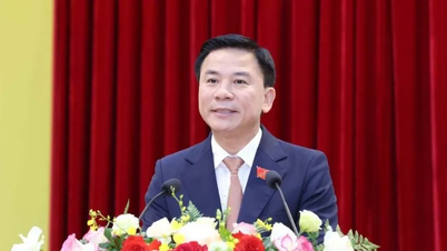 Suspension de départ du chef adjoint du Comité central d'organisation Do Trong Hung