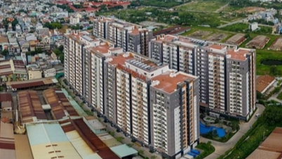 Människor som äger hus har fortfarande rätt till sociala bostadspolicyer i Ho Chi Minh-staden.