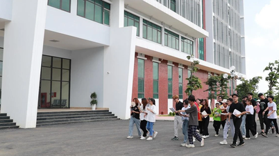 Tạm dừng quy hoạch Chủ tịch, Phó Chủ tịch Hội đồng trường