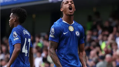توقعات مباراة برينتفورد وتشيلسي، الساعة 2:00 صباحًا يوم 14 سبتمبر: إسقاط حصن النحل