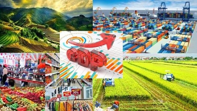 Vynikající směřování a administrativa vlády a premiéra od 6. do 12. září 2025