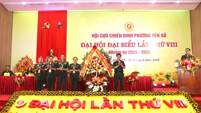 Komrad Vu Duc Chieu dilantik sebagai Pengerusi Persatuan Veteran Perang Yen So Ward.