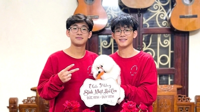 Twin brothers were admitted to the same major at the same university.