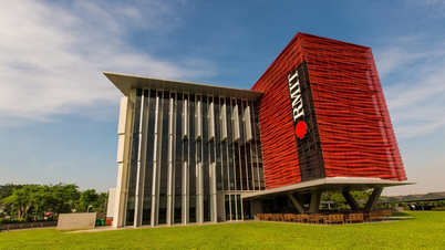 RMIT investiert über 430 Milliarden VND zur Förderung von Forschung und Doktorandenausbildung in Vietnam