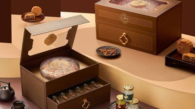 Piața Mooncake 2025: Multe modele noi unice