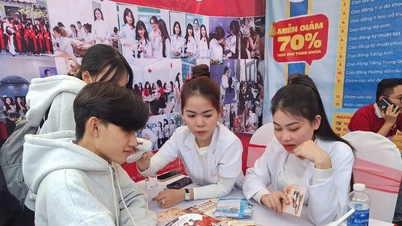 Working together for an effective educational ecosystem