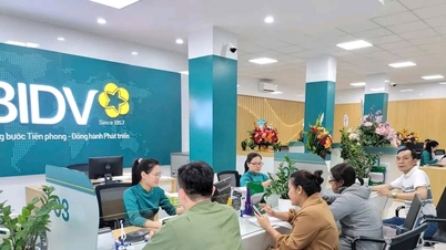 Ngân hàng Nhà nước khu vực 8: Huy động vốn của Nghệ An chiếm gần 55%