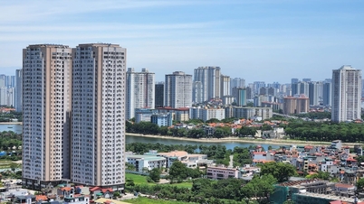 High housing prices, why is the rate of young people buying houses increasing?