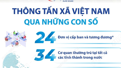 Thông tấn xã Việt Nam qua những con số