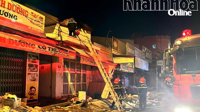 In 8 months, Khanh Hoa had 15 fires.