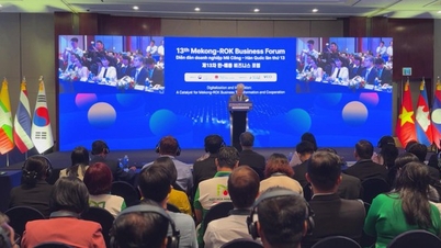 Mekong-Korea Cooperation Orientation: Digitalization and Innovation