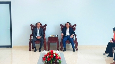 Chairman of the Provincial People's Committee - Lu Quang Ngoi discussed with BCG about strategic orientation and cooperation opportunities