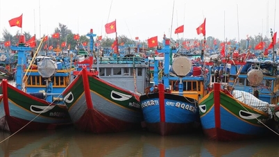 ভিয়েতনাম-মার্কিন সামুদ্রিক খাবার বাণিজ্যের বস্তুনিষ্ঠ পর্যালোচনার প্রস্তাব
